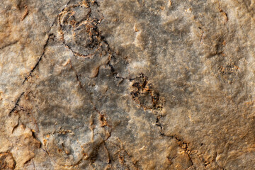 Stone texture background