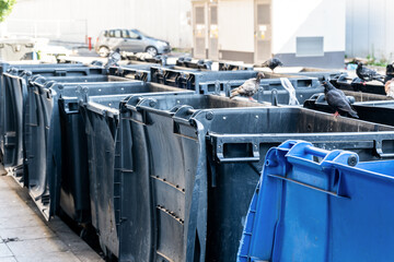 Black and blue garbage containers in the city.  Separate waste, preserve the environment concept. Segregate waste, sorting garbage bins in the town. close up