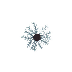 Hand drawn watercolour illustration of dark blue snowflake. Isolated on white background.