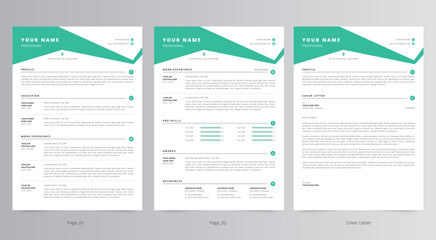 Professional Resume or CV and Cover Letter Template