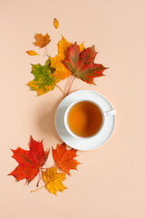 Autumn composition Flat Lay, a cup of tea on a saucer and a composition of autumn leaves. Autumn concept