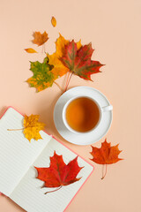 Autumn composition Flat Lay, a cup of tea on a saucer and a composition of autumn leaves and a notepad. Autumn concept
