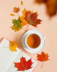 Autumn composition Flat Lay, a cup of tea on a saucer and a composition of autumn leaves and a notepad. Diversity. Autumn concept