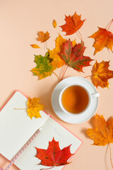 Autumn composition Flat Lay, a cup of tea on a saucer and a composition of maple leaves and a notepad. Autumn concept