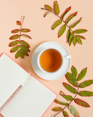 Autumn composition Flat Lay, a cup of tea on a saucer and a composition of leaves and a notepad. Autumn concept