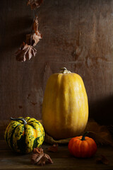 autumn still life with pumpkins