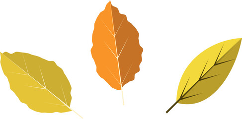 three vector fall leaves