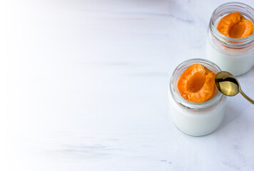 Banner with space for text on a white background. Homemade yogurt with apricot