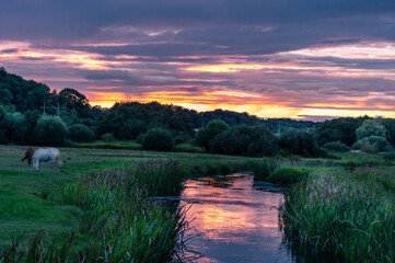 Beautiful sunset over the meadow
