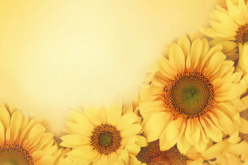 Summer or autumn blossoming yellow sunflowers background, bright festive fall floral card, selective focus, shallow DOF