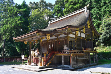 Naklejka premium 滋賀県大津市にある日吉大社 東本宮の樹下宮本殿