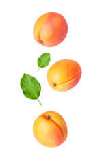 Apricots isolated. Three whole falling apricot fruits with green leaves