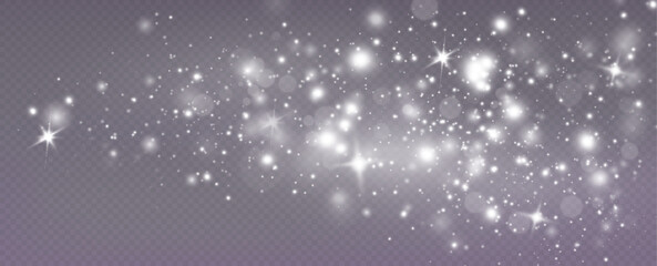 Obraz premium Light effect with glitter particles.Christmas dust.White sparks shine with special light.