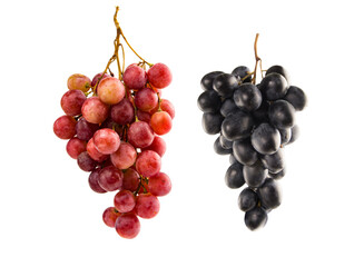 Collection of grape varieties on white background. Red grapes, black grapes.