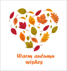 Heart made of autumn leaves isolated on white background. Card for seasonal holidays, Thanksgiving Day