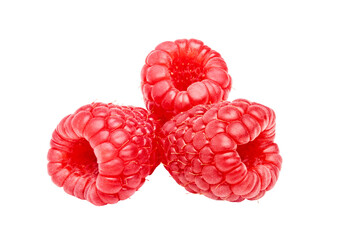 Raspberry berries isolated. Three raspberry fruits 