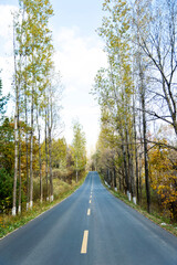 Naklejka premium Scenic road through autumn trees