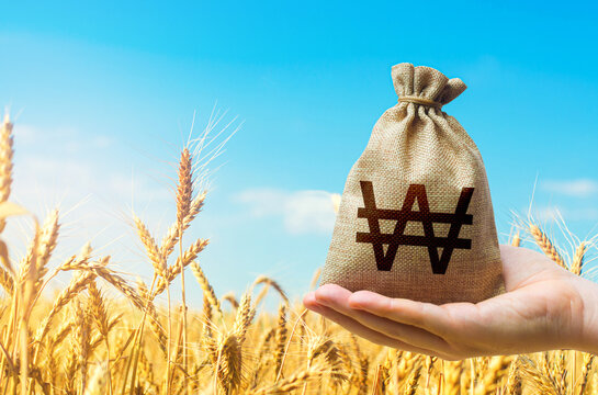 Wheat field and south korean won money bag. Agricultural business. World hunger. Grains and cereals deficits, livestock feed. Starvation and famine. World food security crisis, high prices.