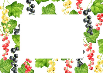 currant branches with berries and green leaves, watercolor drawing floral background, hand drawn illustration,natural template