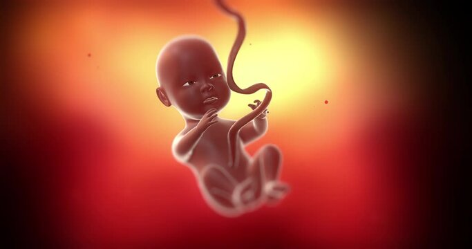 Beautiful calm black baby fetus slowly moving and rotating inside of mother's womb. Science and health related 4k 3d animation.
