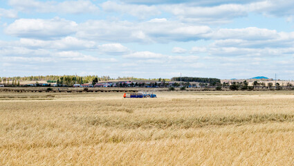 Harvester machine working in harvest rice field