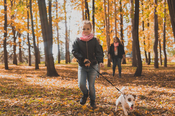 Fototapeta premium Little girl running with her dog jack russell terrier among autumn leaves. Mother and grandmother walks behind