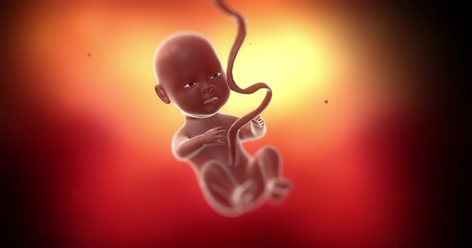 CG 3d black baby fetus slowly moving inside of mother's womb. Eyes open. Ready to born. Science and health related 4k 3d animation.