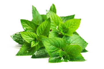 Fresh green mint leaves with water drops on white background
