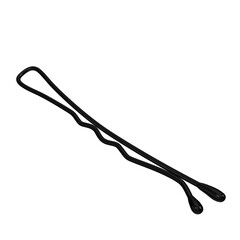 3d rendering illustration of a black metal hairpin
