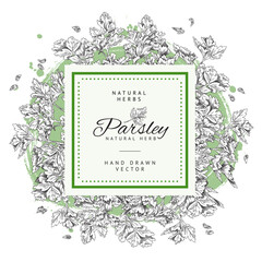 Decorative frame design with with hand drawn monochrome parsley sketch style