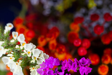 Dried flower arrangement, plenty of flower kinds and colours. Studio photo taken with flash light