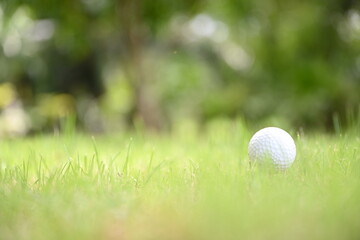 Blurred image of white golf ball and green lawn People all over the world play golf during their holidays for health and relaxation. Golf ball placed on a green lawn in a golf course
