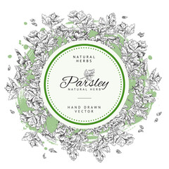 Parsley banner or label in shape of circle, hand drawn sketch vector illustration on white background.