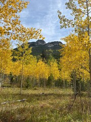 Hiking Seeing Fall Colors In Colorado
