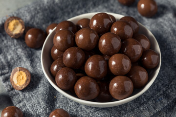 Sweet Chocolate Malted Milk Balls