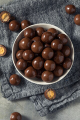 Obraz premium Sweet Chocolate Malted Milk Balls