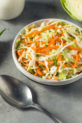 Homemade Fermented Vegetable Curtido