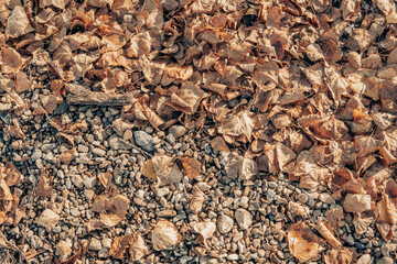 texture of the ground