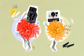 Collage 3d image of pinup pop retro sketch of funny funky women dancing flower aster body vintage retro cameras head have fun party disco