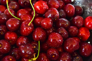 Red cherries with drops of water in a bowl in summer