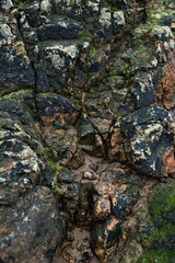Moss covered rocks on Beach