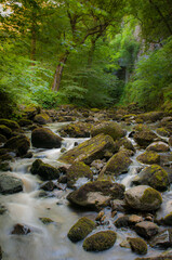 River through a rocky green gorge