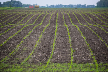 Field after cultivation with agricultural machinery