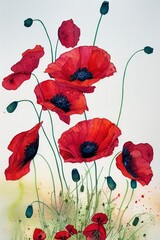 Red poppy flowers watercolor illustration. Floral elegant composition with blooming poppies