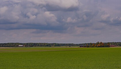 panorama of the park
