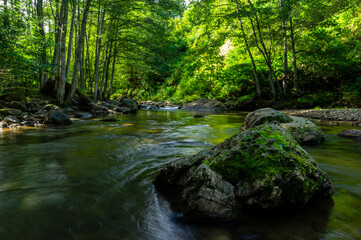 Obraz premium 初秋の福島県檜枝岐村の実川