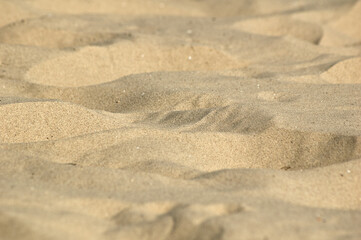 Fototapeta na wymiar sand, in the photo sea sand close-up