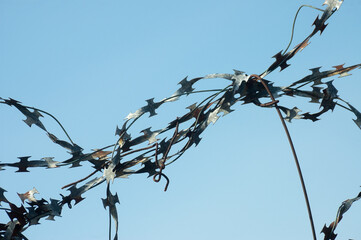 blue background, in the photo a barbed metal wire against a blue sky background