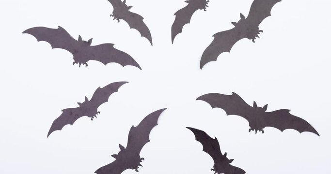 Animation of bats on white background