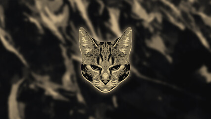 Head of a cat close-up, 3D rendering. Abstract dark background